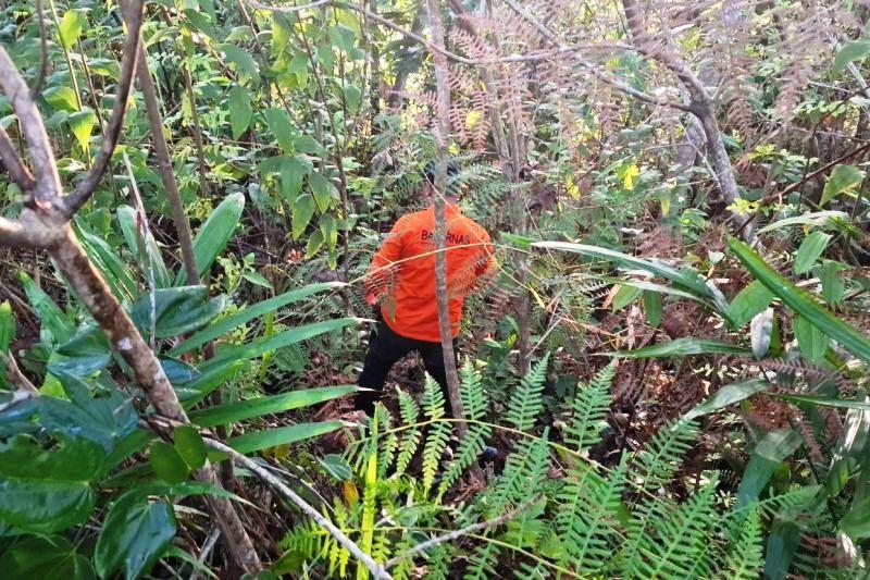 Warga Hilang di Hutan IKN, Tim SAR Masih Lakukan Pencarian