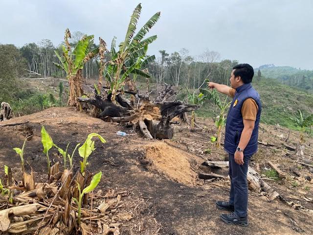 Polisi Selidiki Kebakaran Lahan di HGU Sungai Payang, Parang dan Korek Jadi Barang Bukti