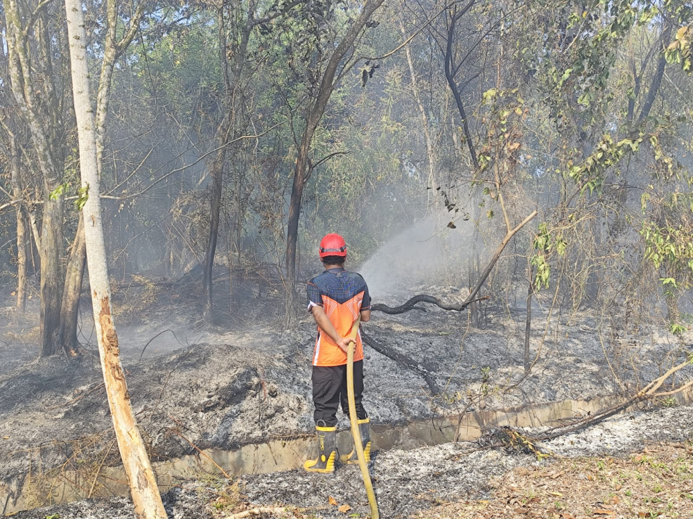 Sudah 28 Karhutla Terjadi di Bontang, Empat Kelurahan Jadi Wilayah Rawan