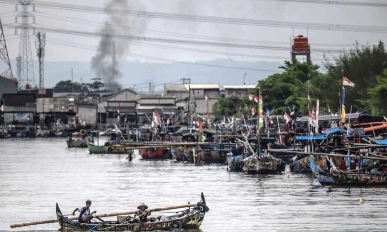 Minyak Haruan Jadi Senjata Baru Kaltim Lawan Stunting