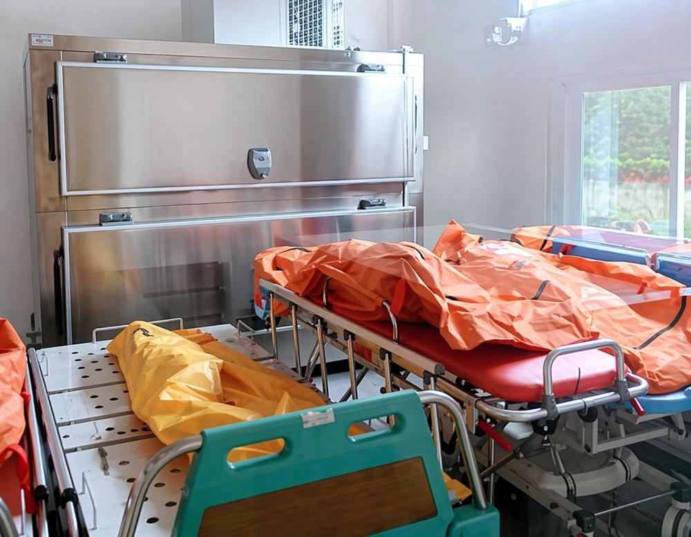 Motif Pembantaian Sekeluarga di Perbatasan Kaltim-Kalteng Oleh Eks Kades Kubar 