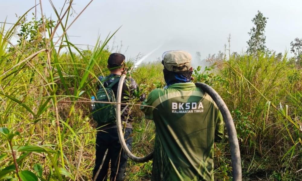 Karhutla Meluas ke Cagar Alam Teluk Adang Paser, 60 Hektare Terbakar