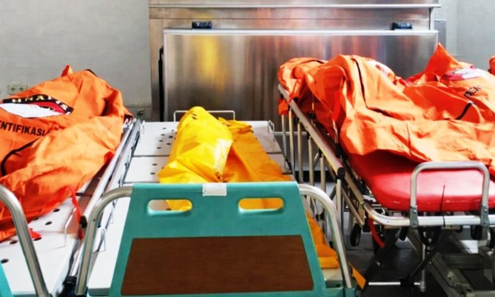 Pembantaian Sekeluarga di Perbatasan Kaltim–Kalteng: 1 Pelaku Masih Berkeliaran 