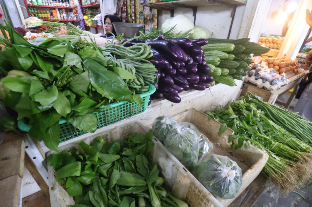 Sumur Gali Mengering, Petani di Balikpapan Timur Terpaksa Beli Air Tandon Demi Bertahan
