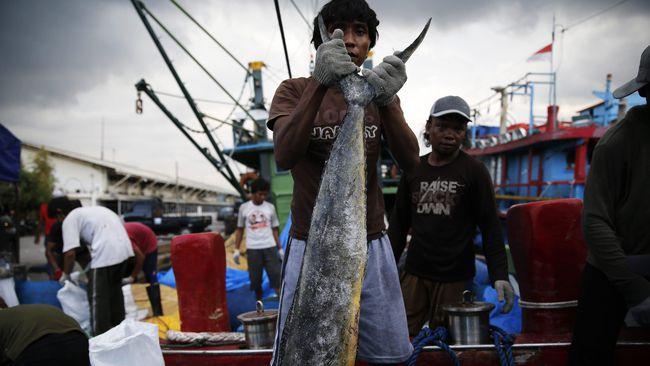 Produksi Ikan Tangkap Laut di Kota Bontang, 2 Tahun Terakhir Alami Penurunan
