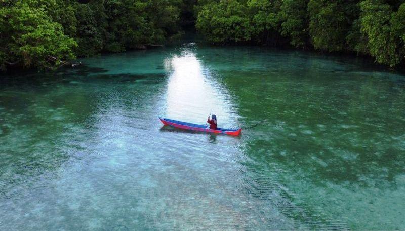  Kaltim Siapkan Daerah untuk Kelola Proyek Karbon Biru Berkelanjutan