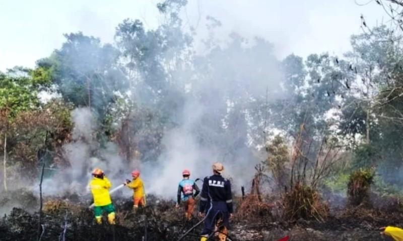 Kemarau Datang Lebih Cepat, Warga Samarinda Diminta Siaga