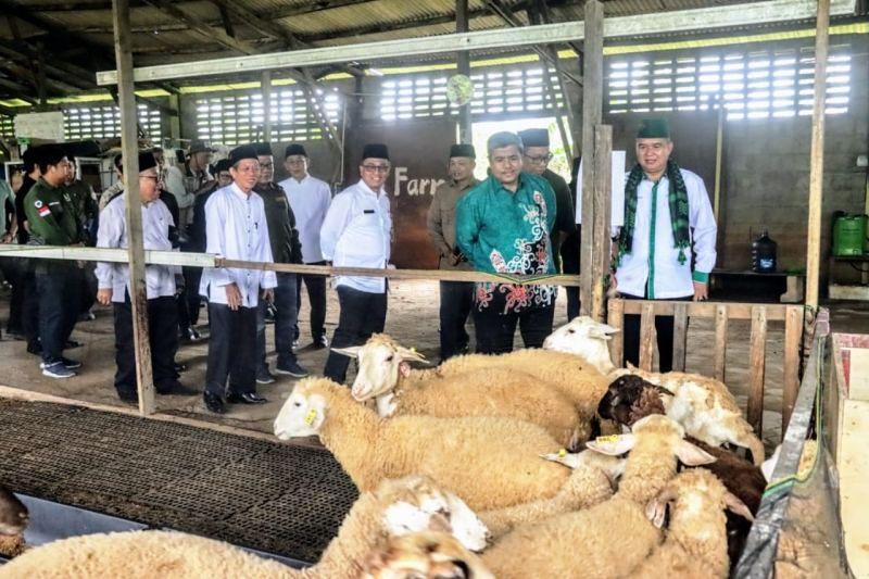 Defisit Kambing, Kaltim Buka Peluang NU