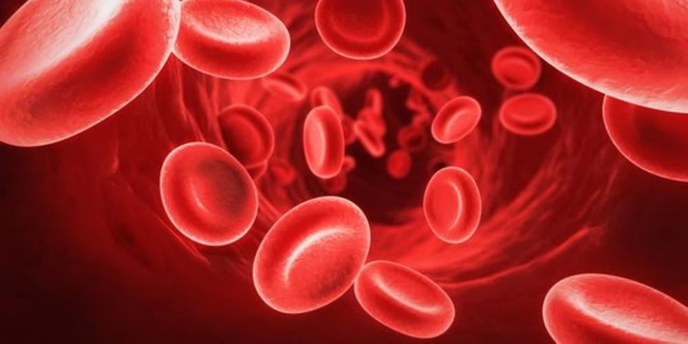 Selain Leukemia, Ini Jenis Lain Kanker Darah yang Perlu Anda Ketahui