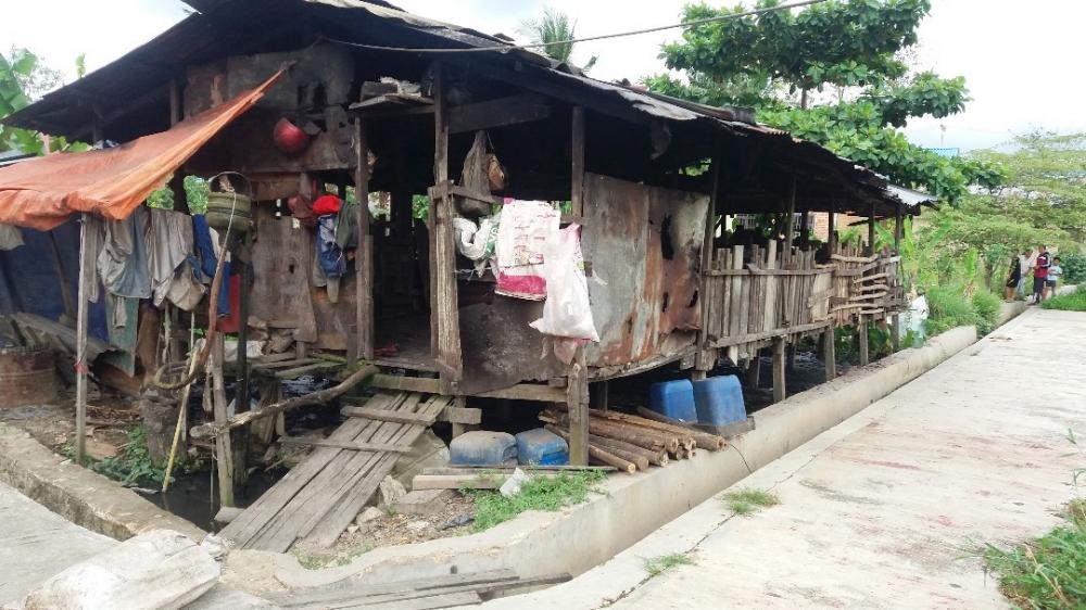 Warga Resah Kandang Babi Dekat Permukiman