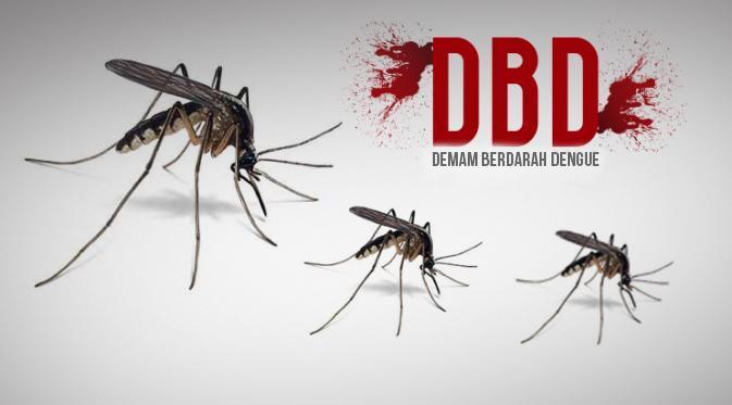 Waspada! Dinkes-KB Bontang Catat 7 Kasus DBD di Awal 2018