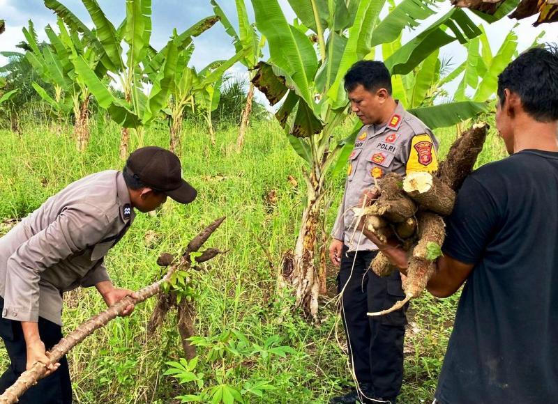 Mengenal Kapolsek Batu Engau: AKP Hadi, Buser yang Garang di Ladang