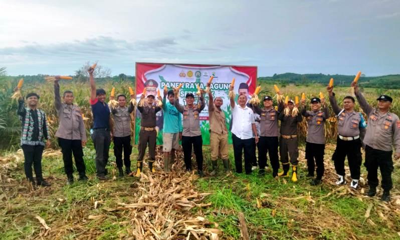 Menyala! Petani Binaan Polisi-TNI di Paser Panen Jagung