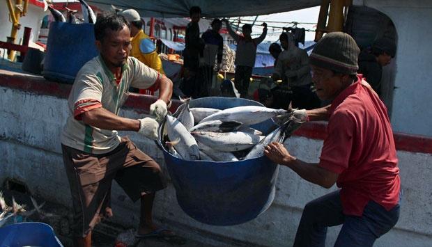 Tahun Ini, DKP3 Bontang Ditarget Produksi Ikan 21 Ribu Ton