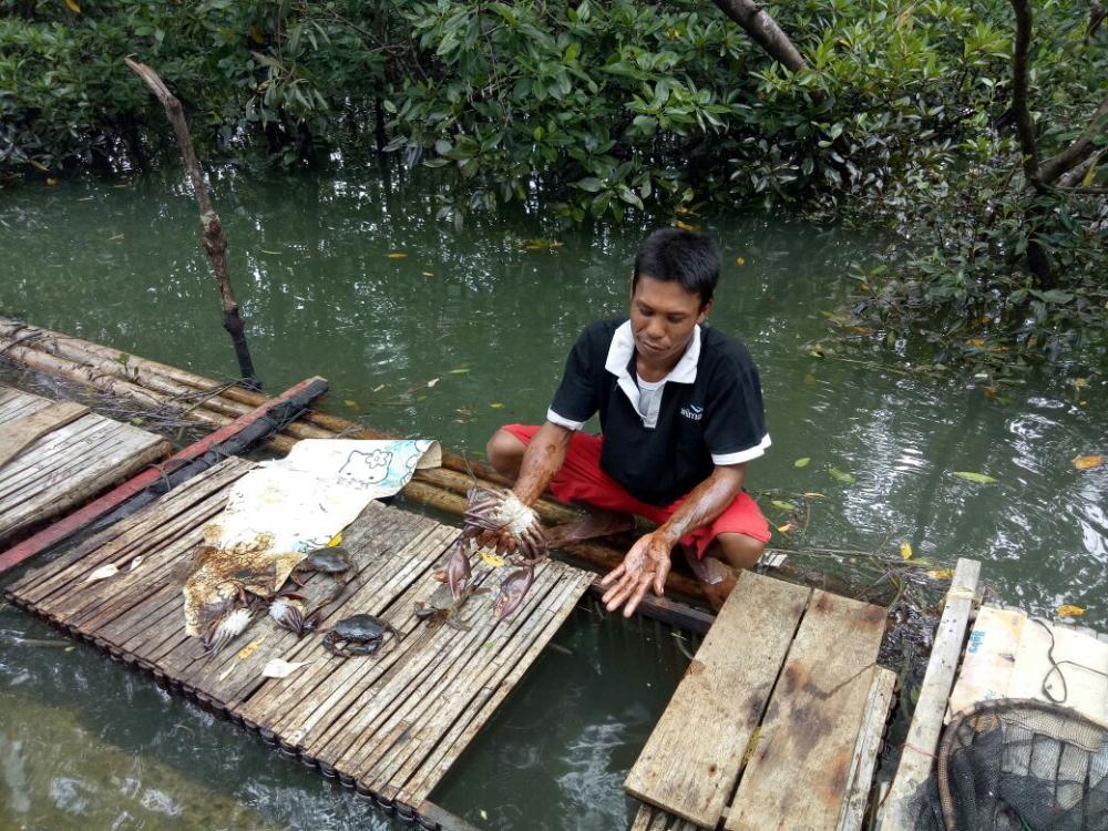 Nelayan Kepiting Keramba Merugi karena Minyak Mentah