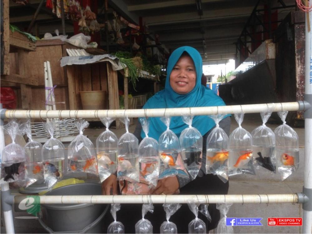 Kisah Ima Mengais Rezeki Lewat Ikan Hias 