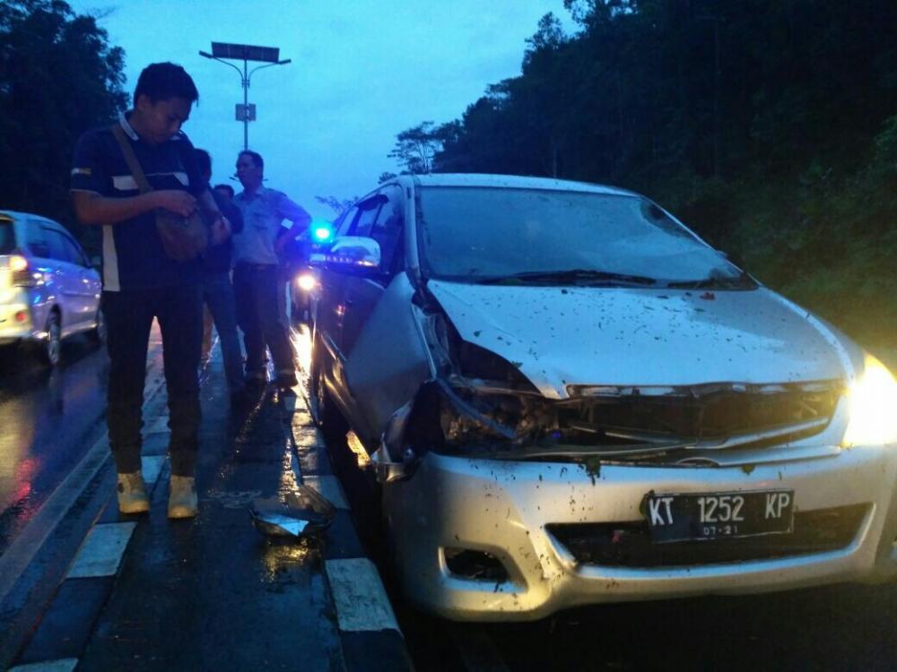 Tabrak Pohon Tumbang, Bumper Innova Silver Penyok  