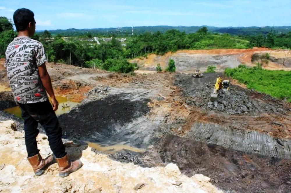Klaim Pemprov Kaltim Pertahankan 62 Persen Hutan: "Awas Bahaya Hijau Semu"