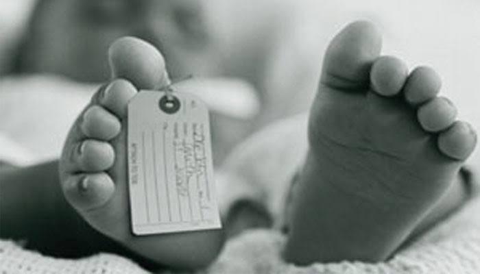 Warga Samarinda Geger, Mayat Balita Ditemukan Tanpa Kepala