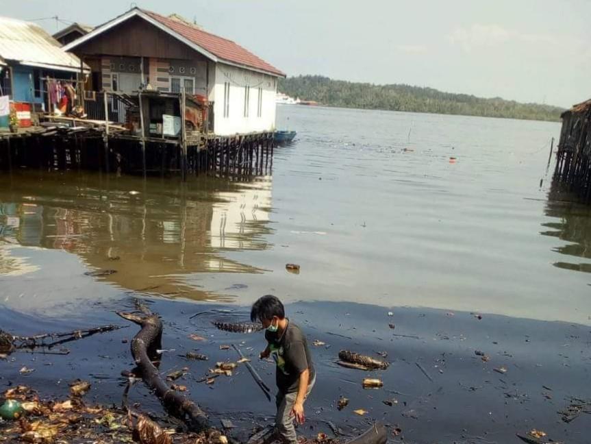 Minyak Mentah di Kawasan Mangrove Mulai Dibersihkan