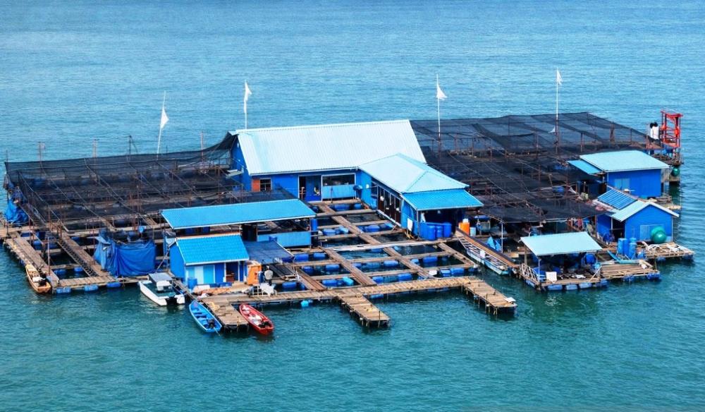 Bontang Baru Bersinar Dikemas Jadi Paket Wisata Bahari Edukatif