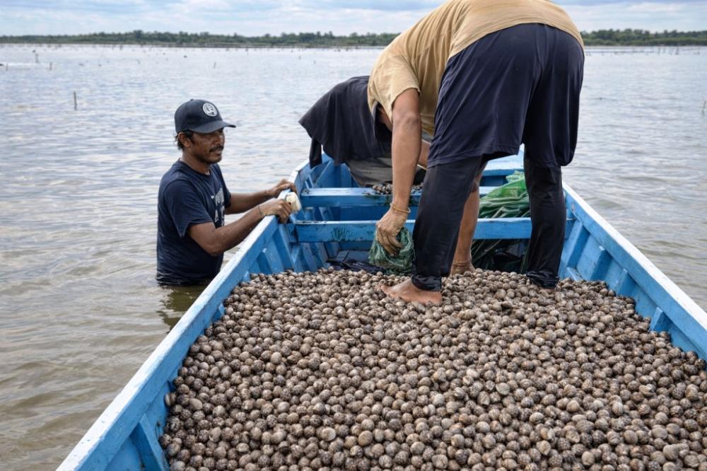 Pencemaran Muara Badak, Nestapa Keluarga Nelayan Menanti Ganti Rugi Tanpa Kepastian