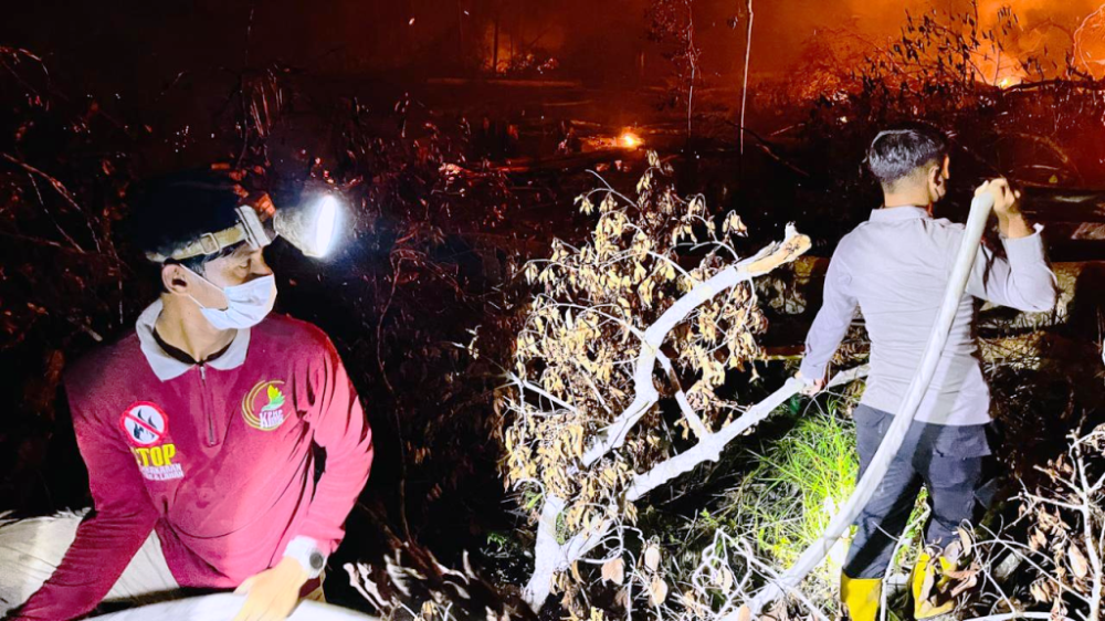 Polisi Jerat 9 Tersangka Karhutla di Kaltim, Luas Lahan Terbakar Capai 456 Hektare