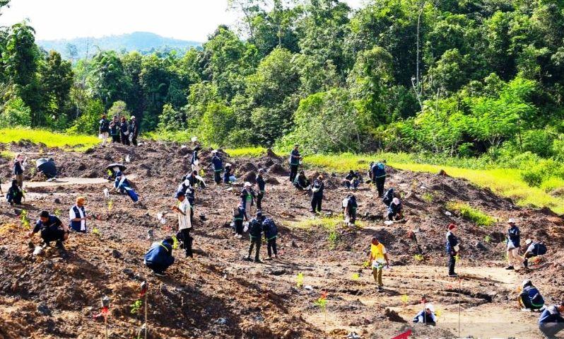 OIKN Klaim Tahura Bukit Soeharto Sudah Bersih dari Tambang Ilegal 