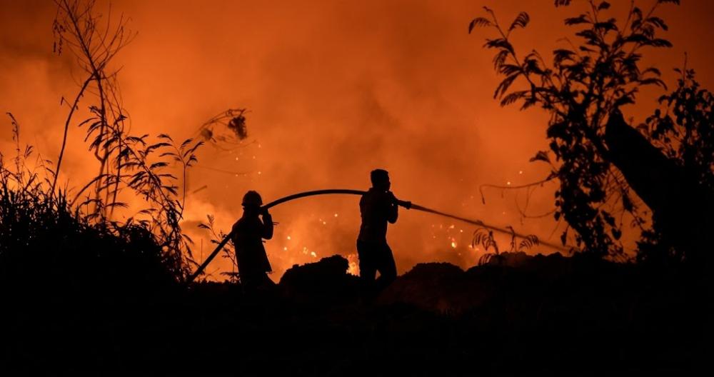 Karhutla Kaltim: Berapa Hektare Terbakar, Daerah Mana Paling Terdampak?