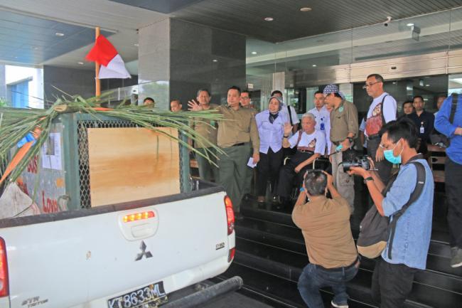 Gubernur Kaltim  Lepasliarkan 5 Orang Utan 