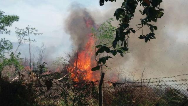 Kebakaran Lahan Kosong, 1,5 Jam Pemadam Tiba di Lokasi 