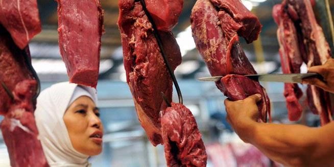 Dukung Penyediaan Daging Segar, DKP3 Bontang Rutin Lakukan Pemeriksaan Hewan Ternak