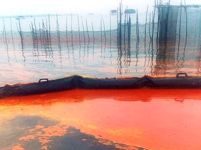 Pencemaran Laut di Bontang-Muara Badak Diatensi Menteri Hanif 