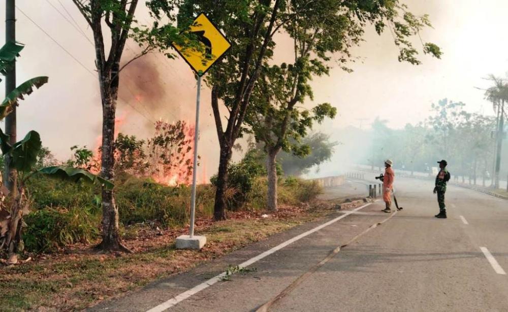 120 Hektare Lebih Lahan Bontang Hangus, Wali Kota Neni: Sangat Biadab kalau Membakar