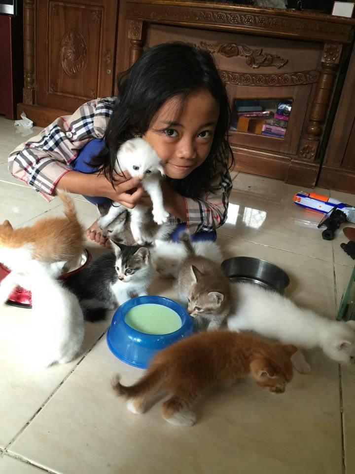 QILA, GADIS 11 TAHUN ANGGOTA KOMUNITAS CAT LOVERS BONTANG
