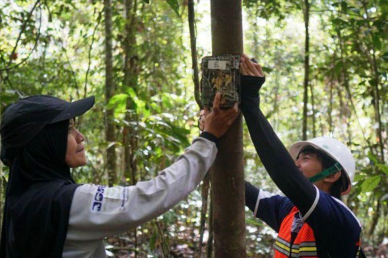 Ribuan Orang Utan Terancam, YKAN dan BRIN Buka Lab Hutan di Wehea-Kelay
