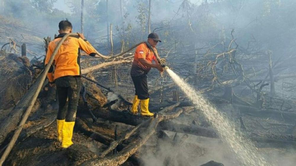 Jumlah Titik Panas di Kaltim Menurun Drastis   