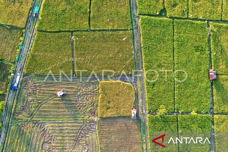 Kementan Genjot Swasembada Pangan Kaltim Lewat Kolaborasi