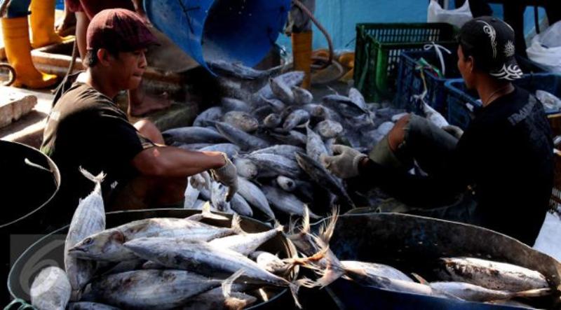 Capai Target Tahunan, DKP3 Bontang Upayakan Peningkatan Tangkapan Ikan Laut