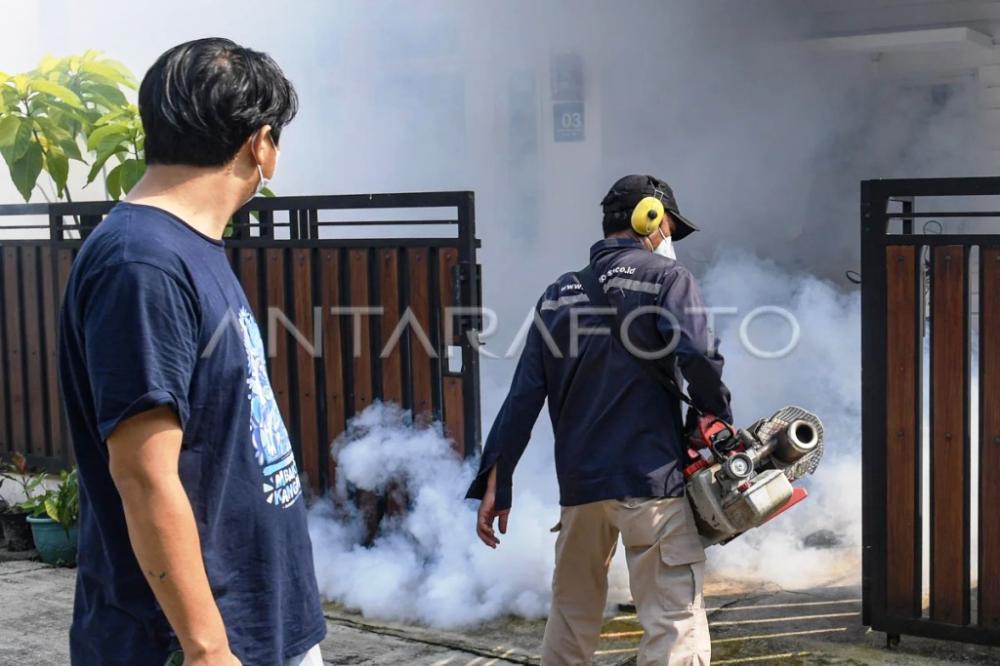 Anak 6 Tahun Meninggal dengan Diagnosis DBD di Bontang, Dinkes: Ada Penyakit Penyerta