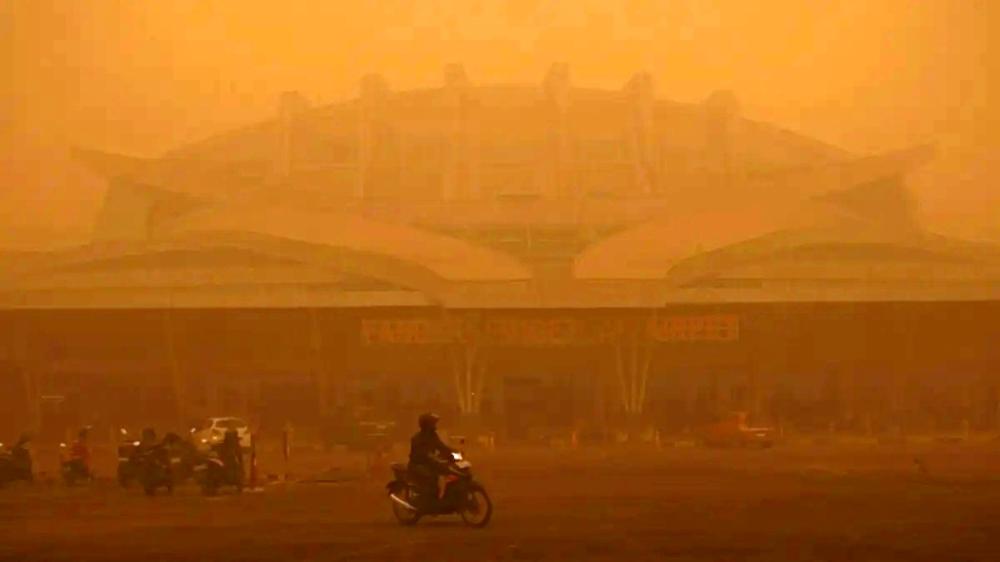 Langit Pekat Imbas Karhutla, 391 Penerbangan Terdampak di Kalimantan