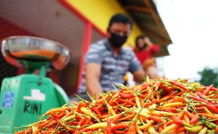 Inflasi Kaltim September Tembus 3,98 Persen, Cabai dan Sayur Jadi Pemicu Utama