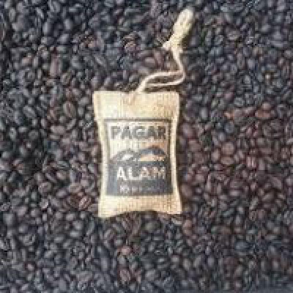 Membanggakan, Kopi Pagaralam Sumsel Raih Pengakuan Internasional