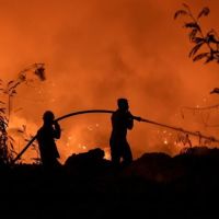 Karhutla Meluas di Kalimantan, Kalteng Terparah 