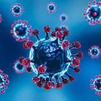 Kemarin, Kaltim Catat 6 Kasus Positif Covid-19