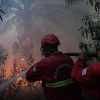 Cuaca Kalimantan Didominasi Awan dan Udara Kabur, Banjarmasin Waspadai Asap