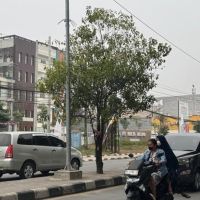 Asap Makin Pekat di Samarinda, PM2.5 Tak Sehat dan Asap Terjebak di Bawah Awan 