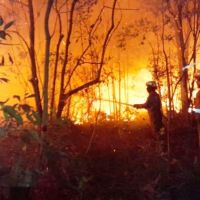 Karhutla Meledak 71 Kasus, Kaltim Belum Tetapkan Status Tanggap Darurat