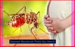 BAHAYA DAN GEJALA DEMAM BERDARAH PADA IBU HAMIL