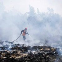 Satu Dekade Persetujuan Paris, Karhutla Kalimantan Masih Membara: Siapa Harus Bertanggung Jawab?